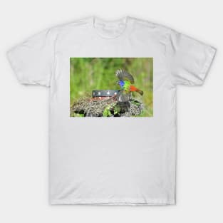 Painted Bunting Bird in Flight T-Shirt